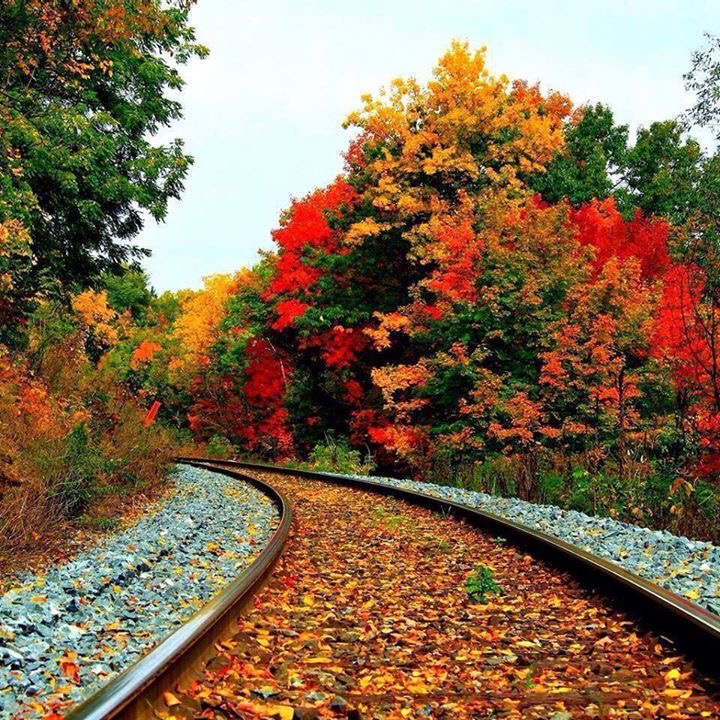 Fall Image Railroad