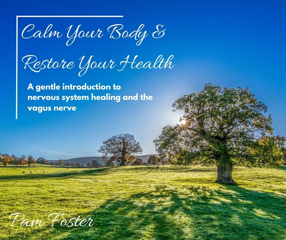 Nervous System Regulation: A Missing Link to Your Health