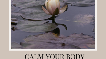 Calm Your Body Reset Guide