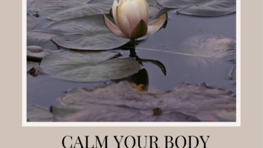Calm Your Body Reset Guide