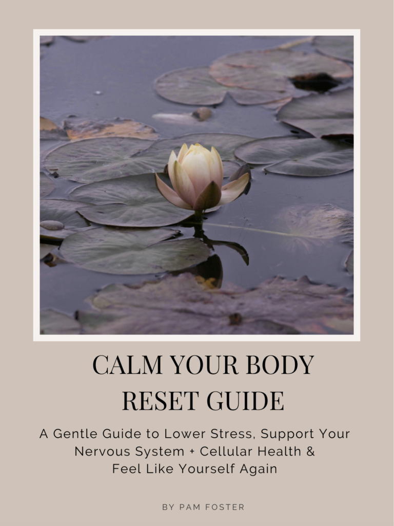 Calm Your Body Reset Guide