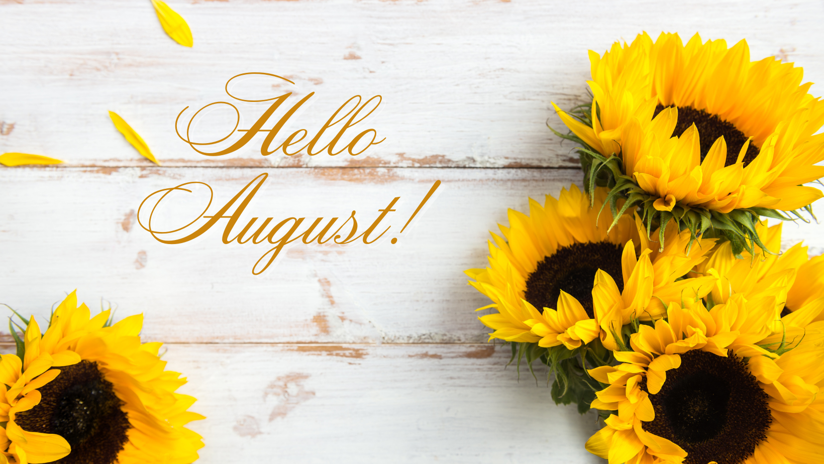 Why August Is the Perfect Time for a Fresh Start